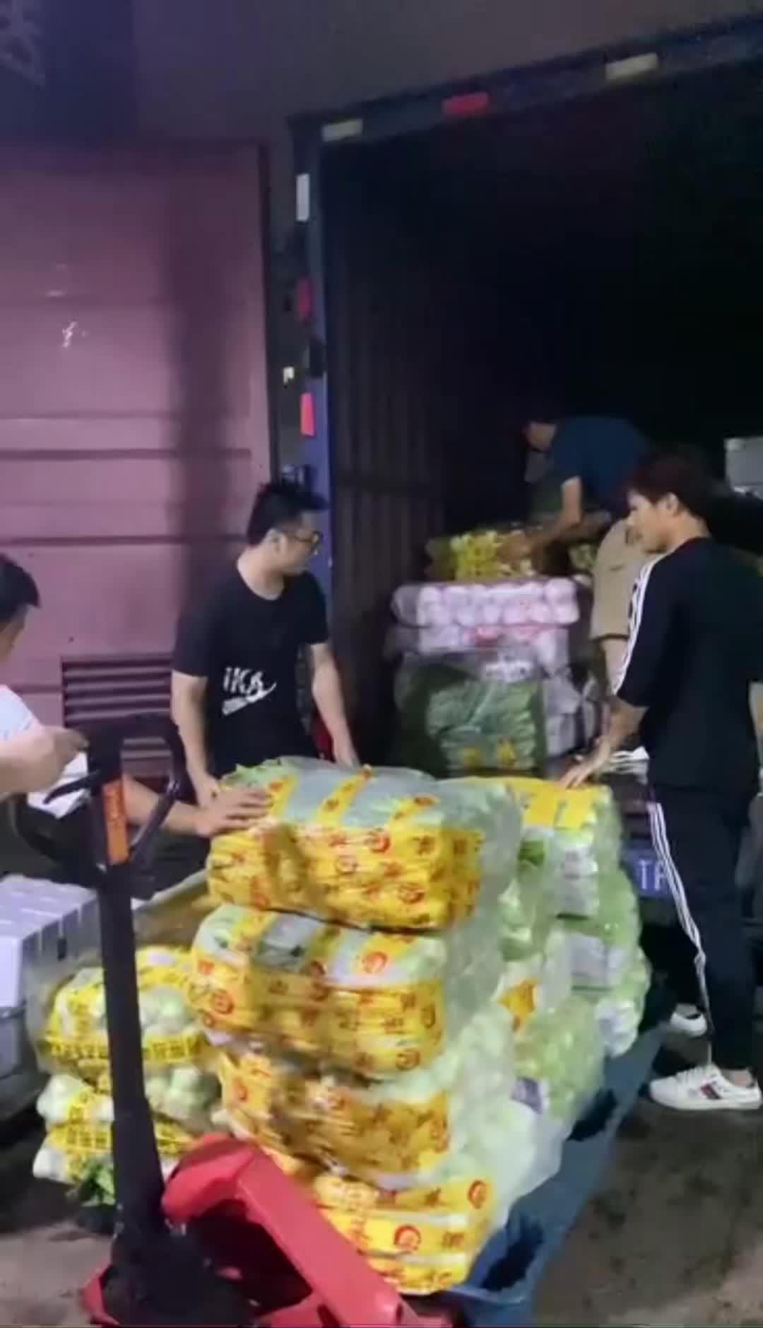 东莞等各大蔬菜基地建立了长期稳定的合作关系,保证每天向各单位供应的蔬菜新鲜,食品安全真正的