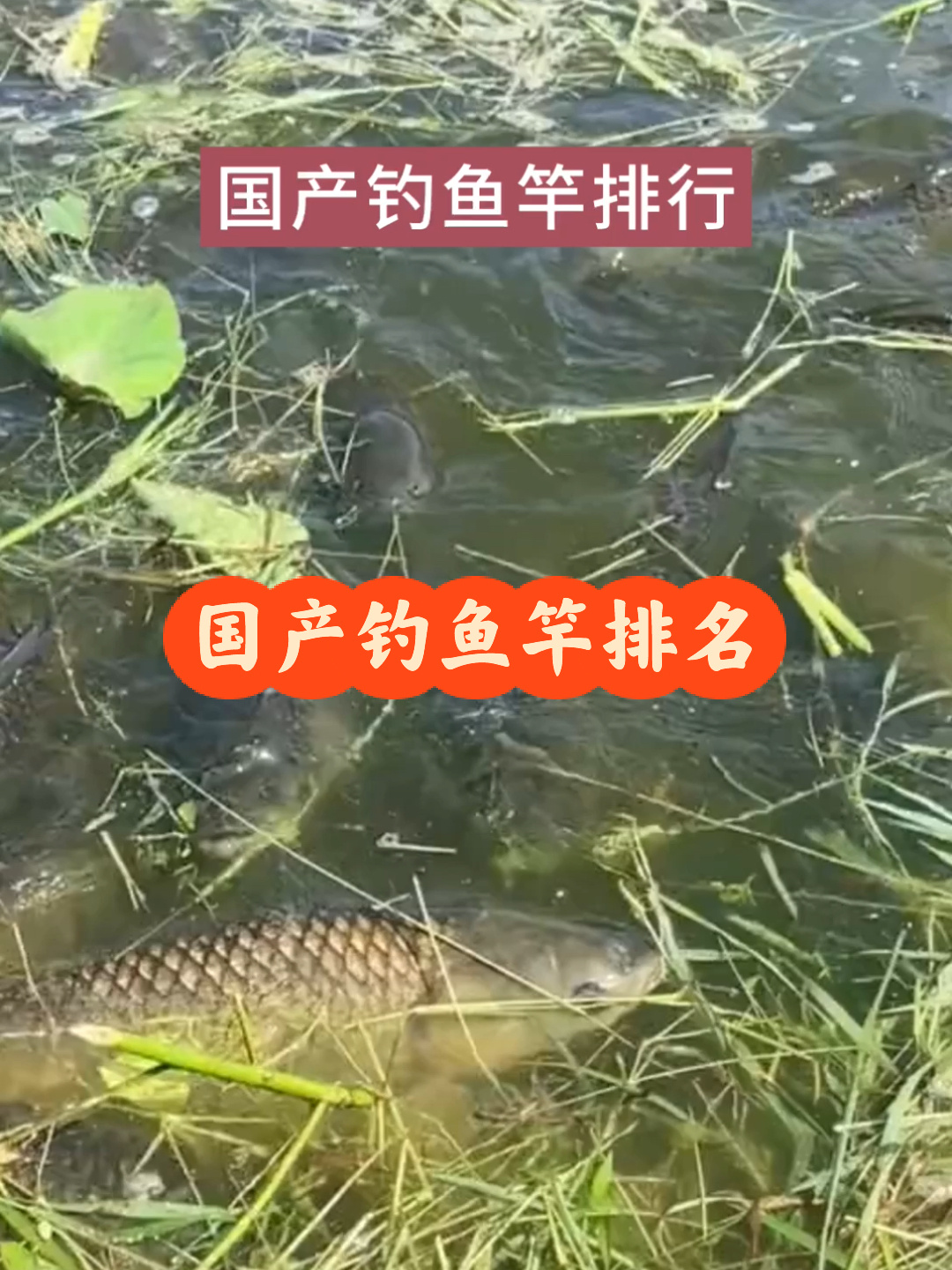 国产钓鱼竿十大排名,买竿不吃亏,少走冤枉路