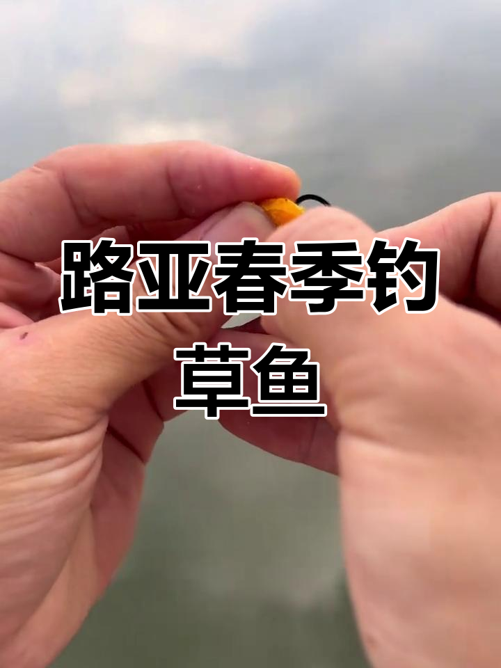 春天路亚钓大草鱼新技巧,轻松掌握浮漂调法