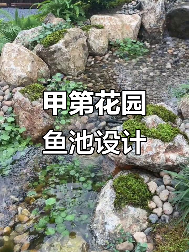 甲第花园生态鱼池设计展示,打造自然水景