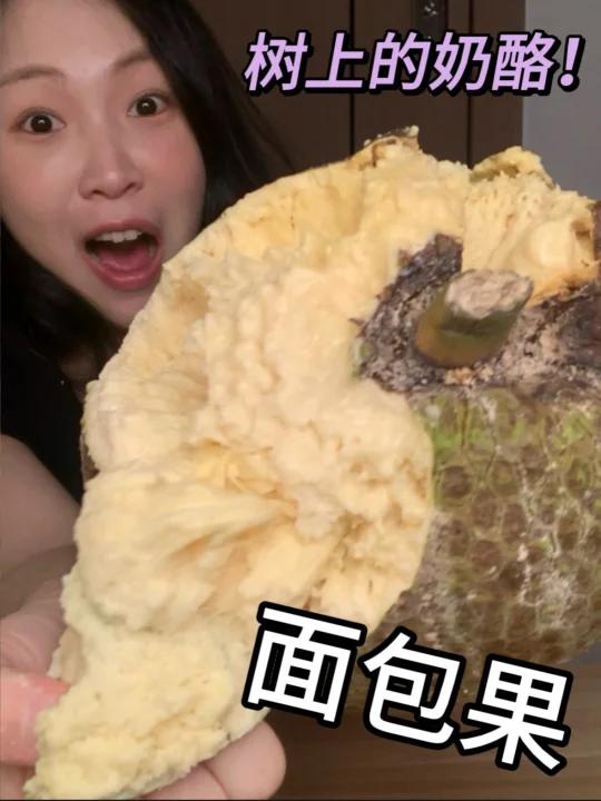 面包果测评！空口啃奶酪？