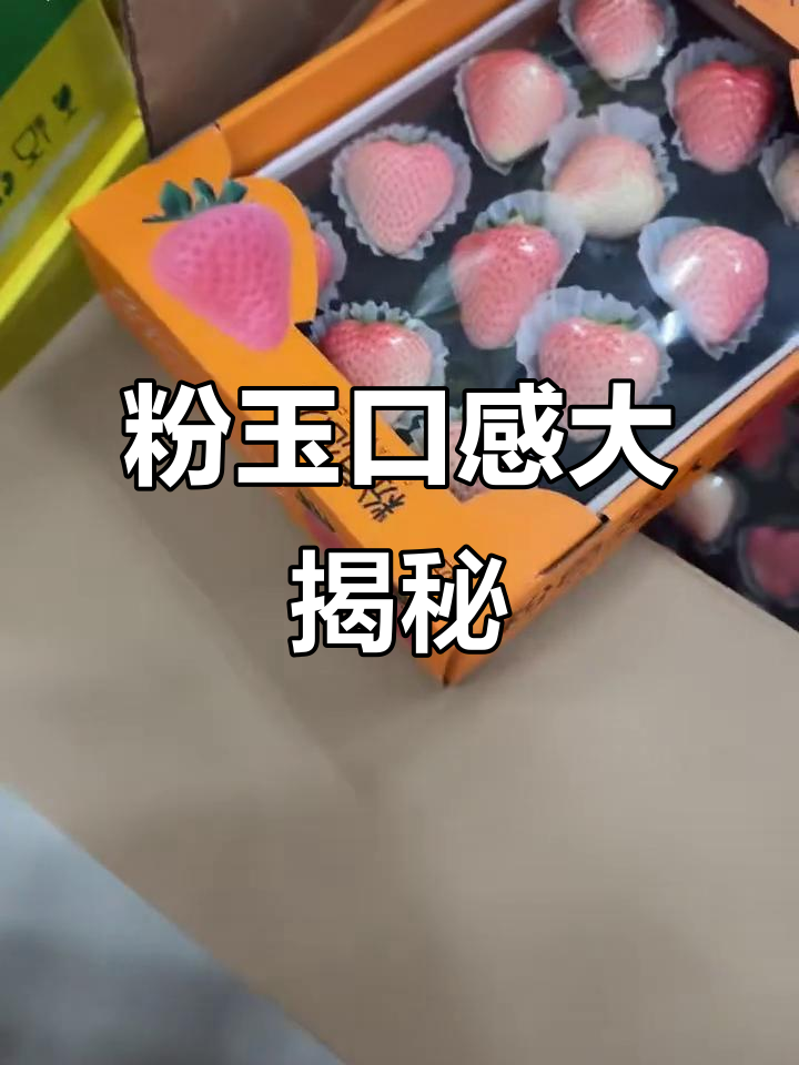 东北雪天影响口感,但近期粉鱼超甜!