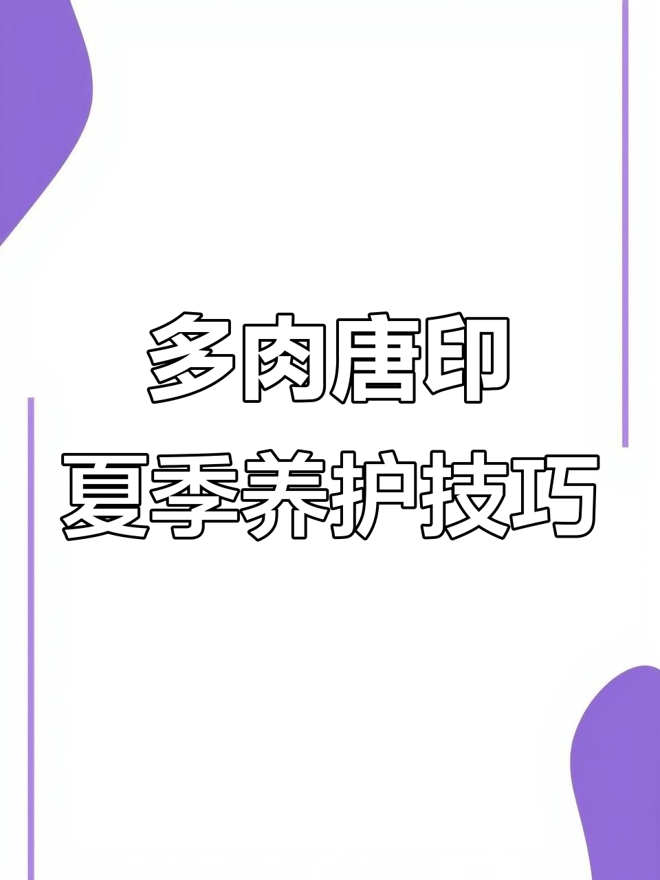 夏季多肉唐印养护全攻略，避免光照过强和烂根问题