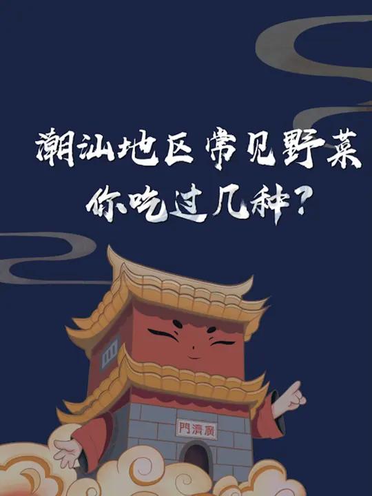 这些野菜有你爱吃的吗?潮汕 潮汕美食 野菜 蔬菜