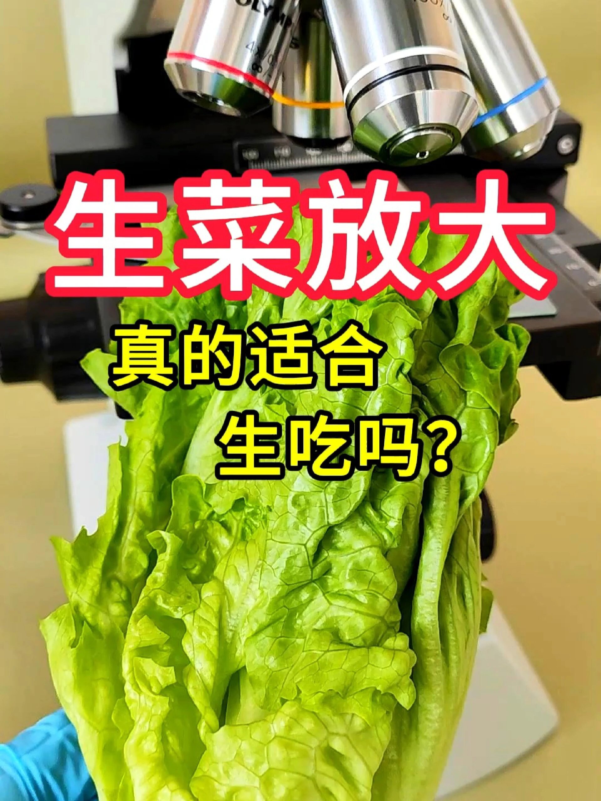 生菜真的适合生吃吗?