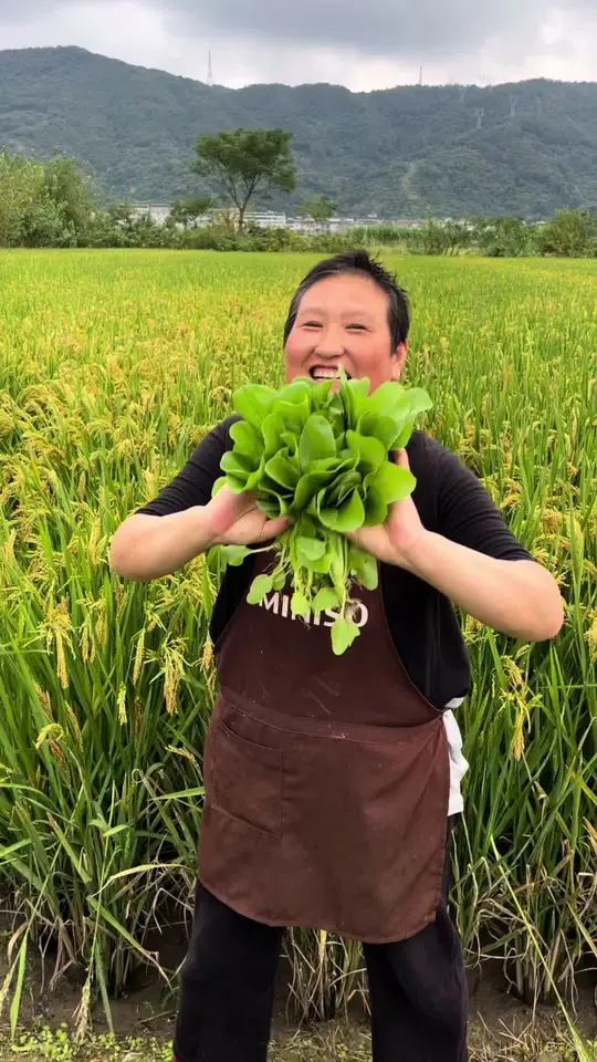 农村自种小青菜，又嫩又鲜甜，用来煮面超美味