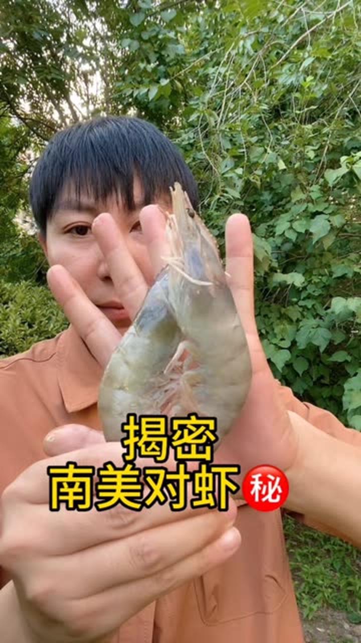南美对虾国内养殖跟进口的有啥区别