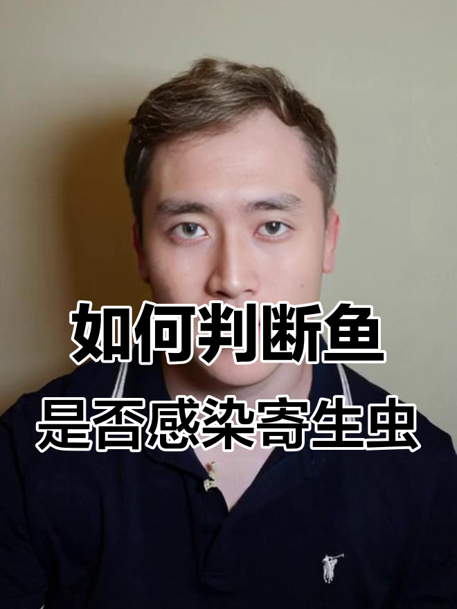 鱼有寄生虫的症状与应对方法