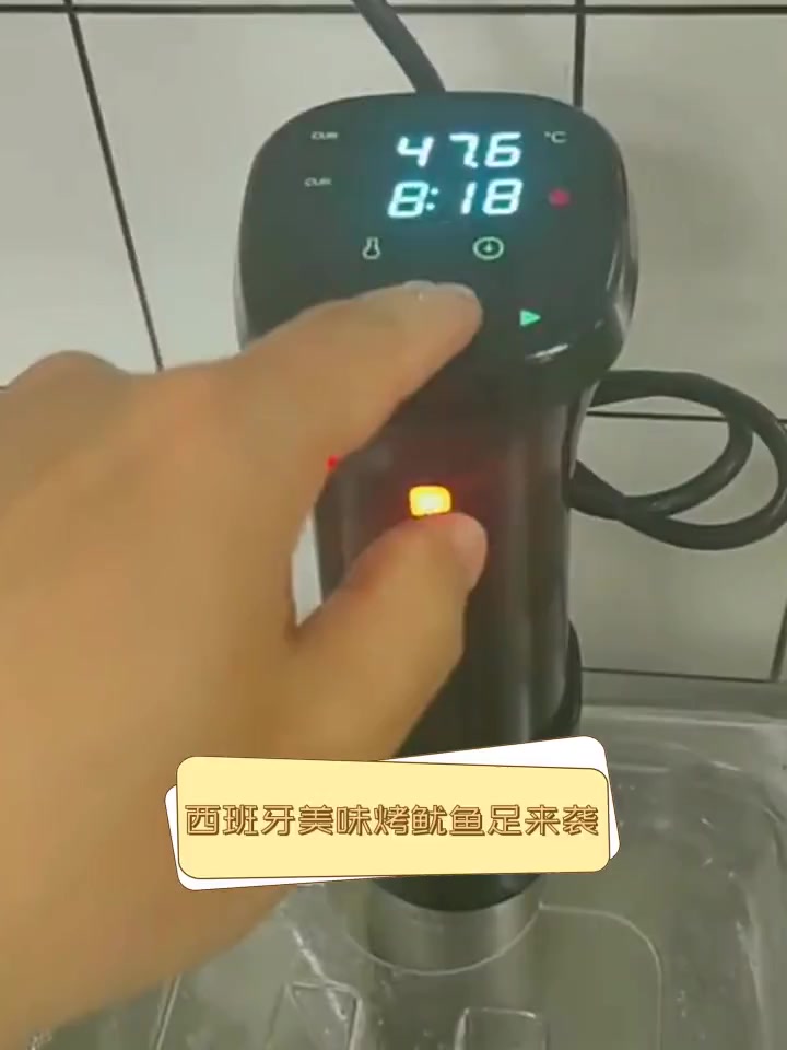 西班牙美味烤鱿鱼足来袭