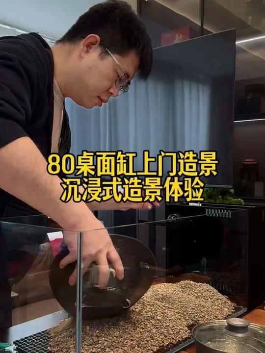 养什么鱼合适?能看看你的鱼缸吗?