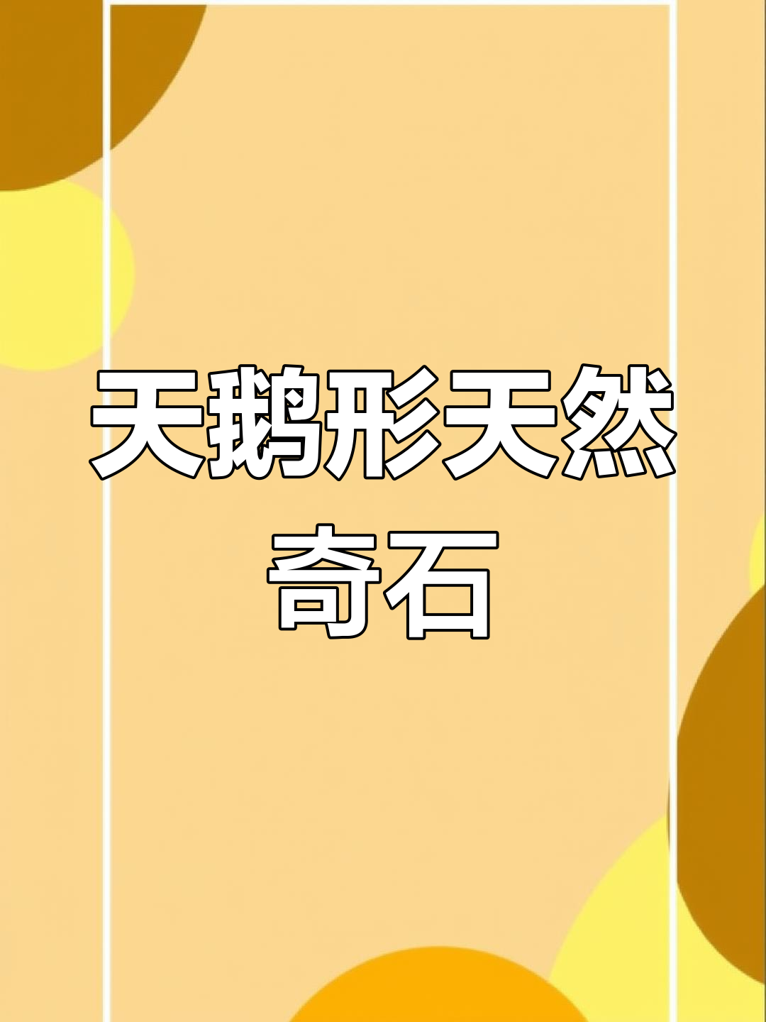 岷江石天鹅奇观,大自然鬼斧神工