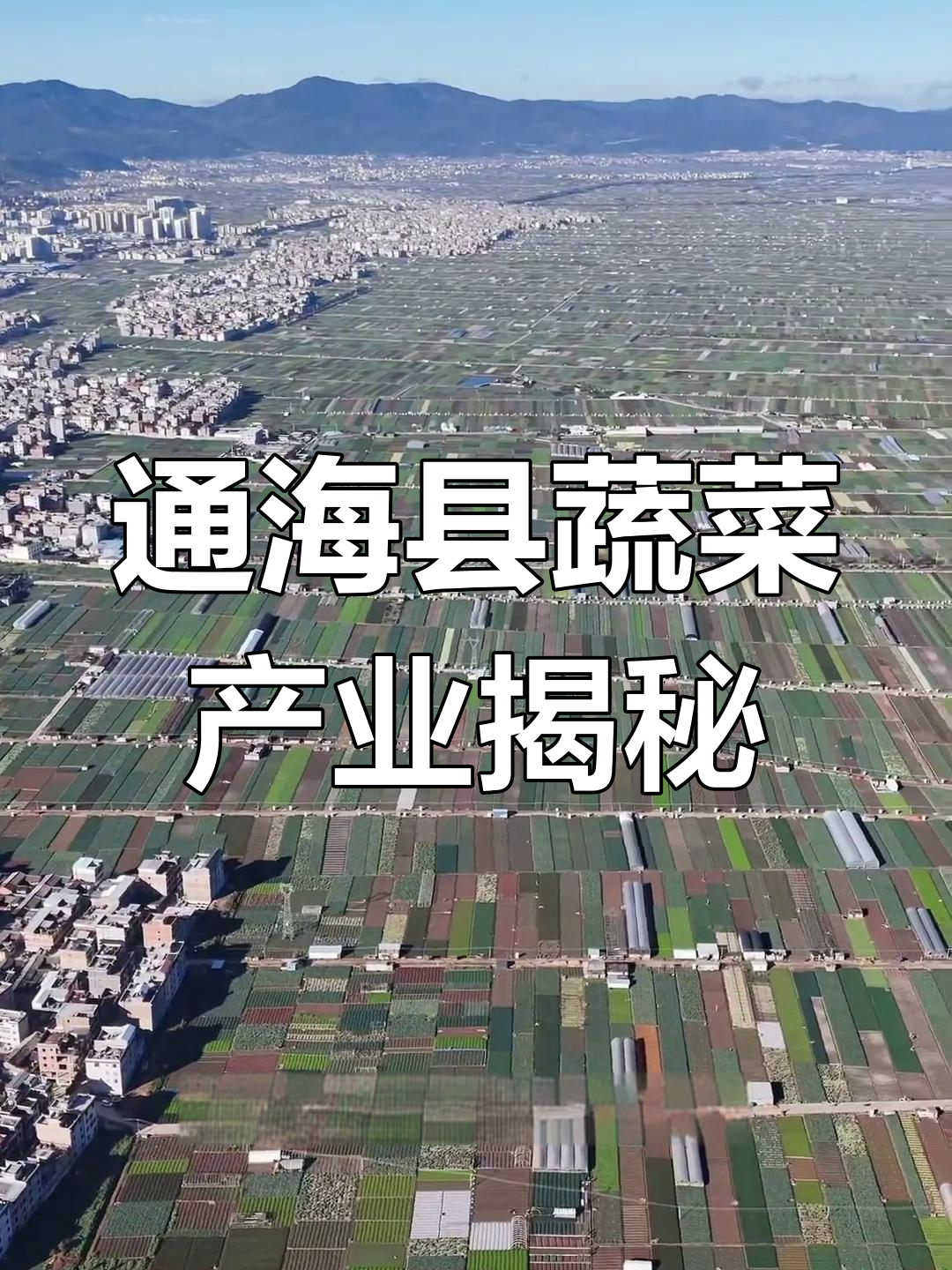 探访云南通海县:蔬菜种植基地与蒙古族文化