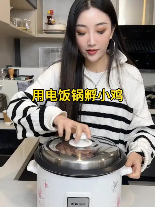 用电饭锅孵小鸡?!后续来啦～孵蛋 孵鸡蛋 小鸡 孵小鸡 奇怪的知识增加了