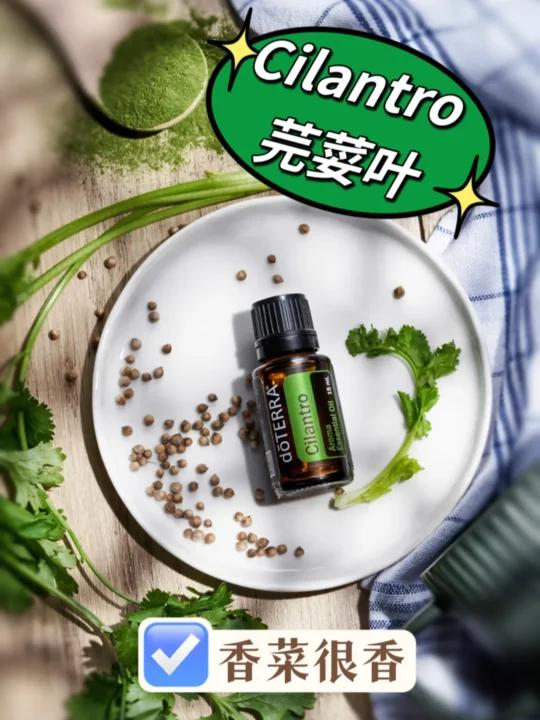 多特瑞精油「A-Z」～Cilantro 芫荽叶
