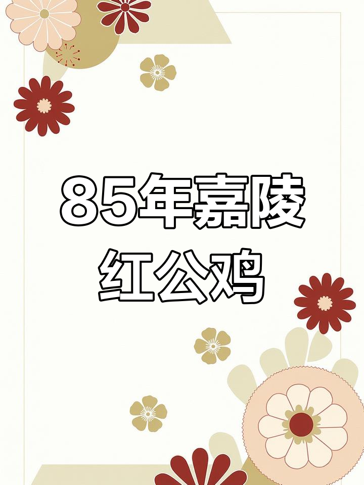 1985年嘉陵红公鸡,原汁原味复古摩托体验