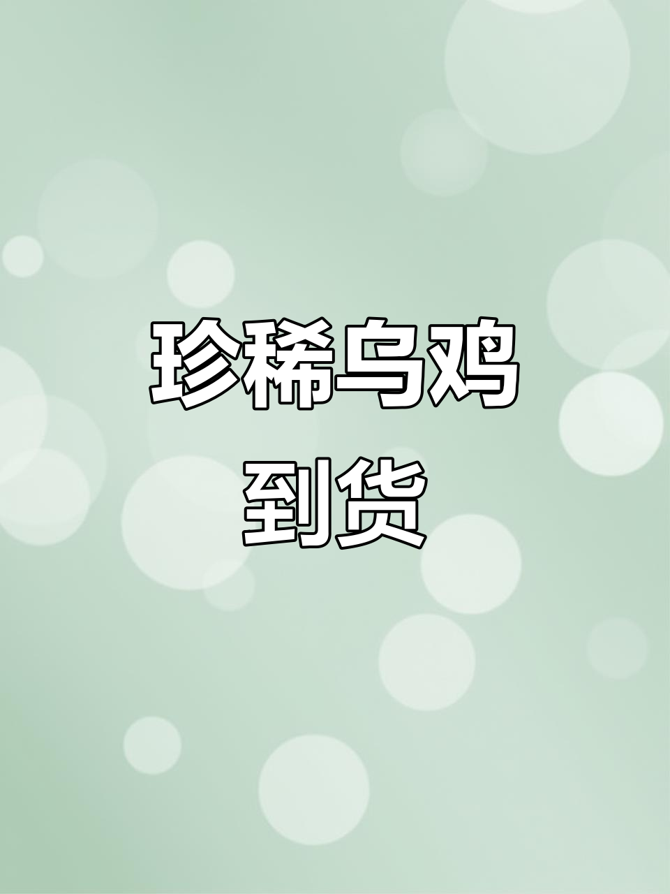 千里送乌鸡,期待它们茁壮成长!