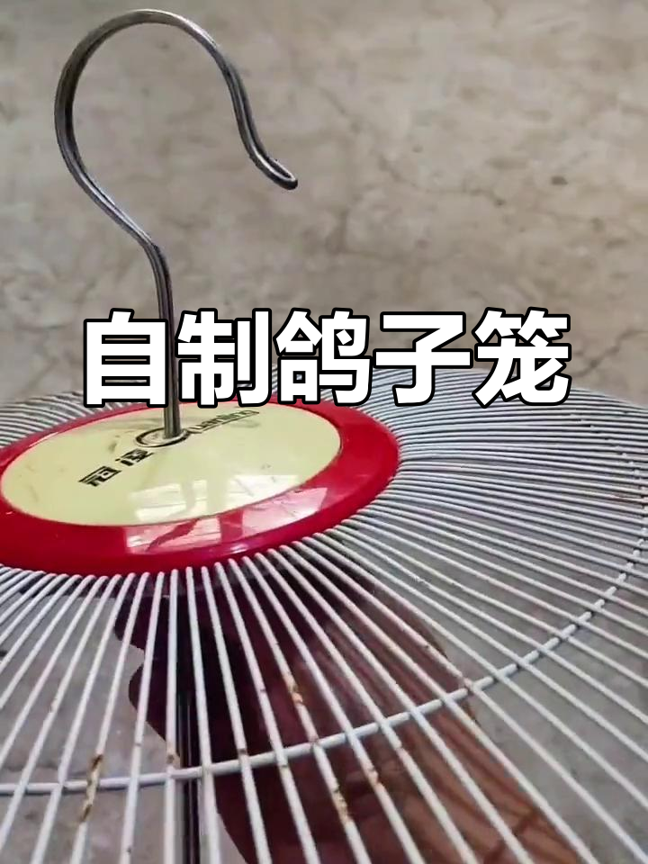 制作简易鸽笼教程