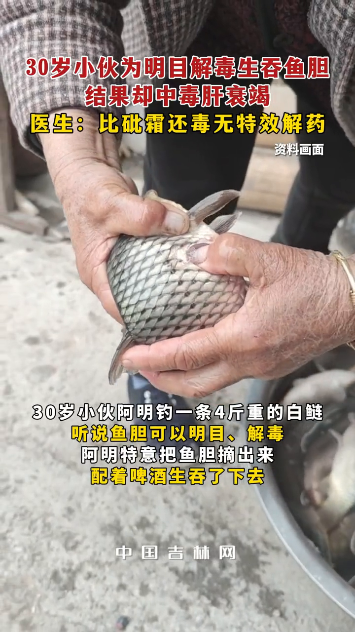 30岁小伙为明目解毒生吞鱼胆,结果却中毒肝衰竭
