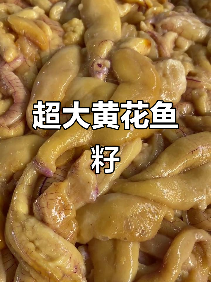 黄花鱼籽的秘密:一口吃到大颗小黄花鱼肉