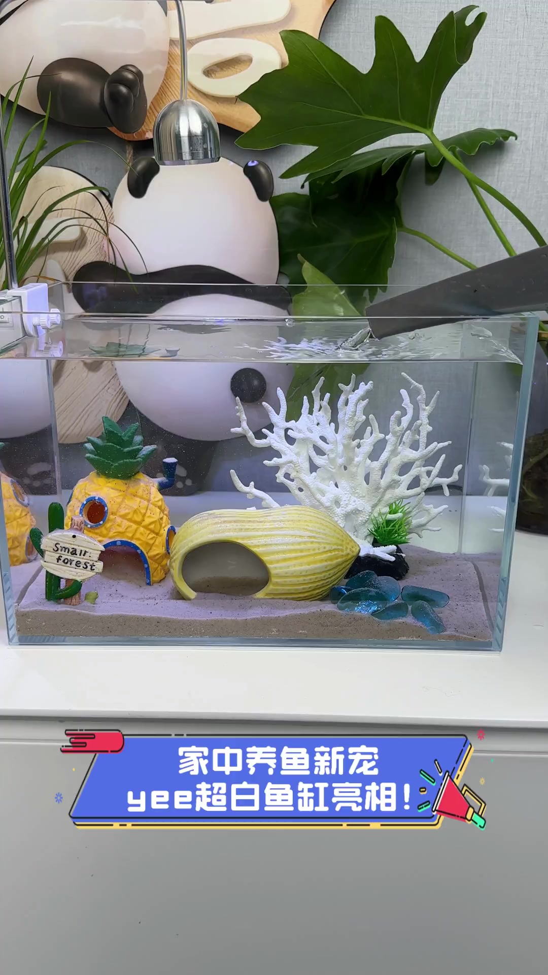 家中养鱼新宠,yee超白鱼缸亮相!