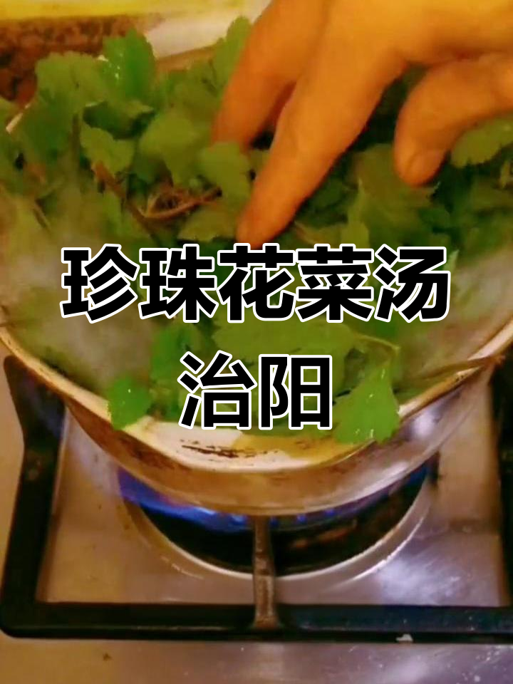 珍珠花菜汤助力缓解羊羊症状,效果显著