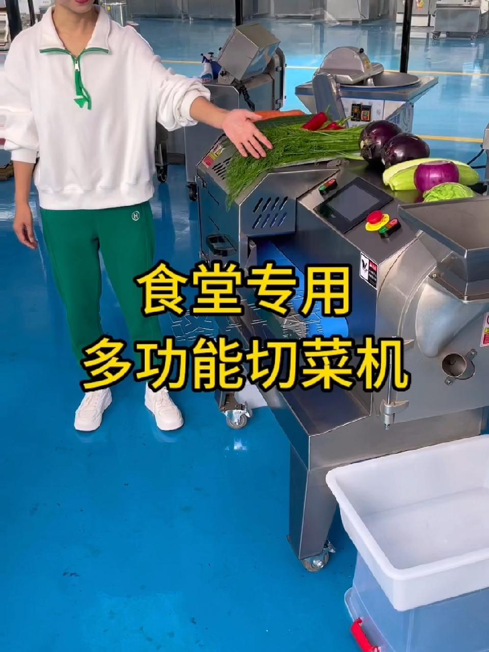 食堂白菜切丝专用多功能切菜机 多功能切菜机 切片机 切菜机 切丝机 白菜切丝机