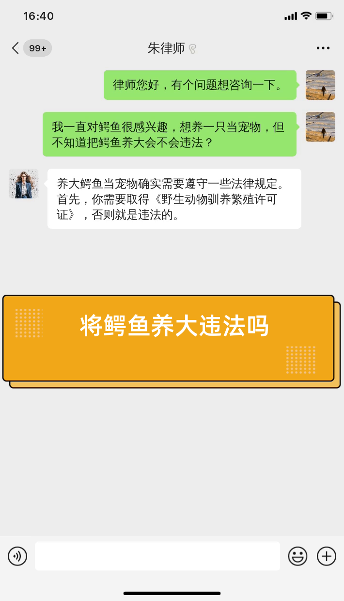 将鳄鱼养大违法吗
