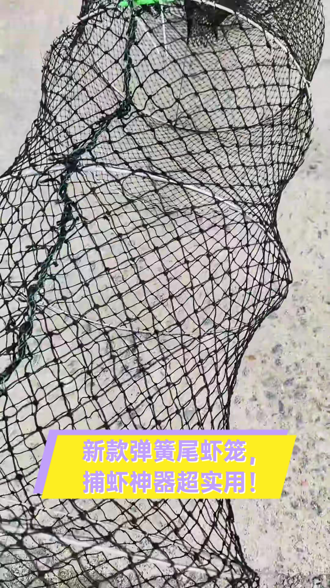 新款弹簧尾虾笼,捕虾神器超实用!