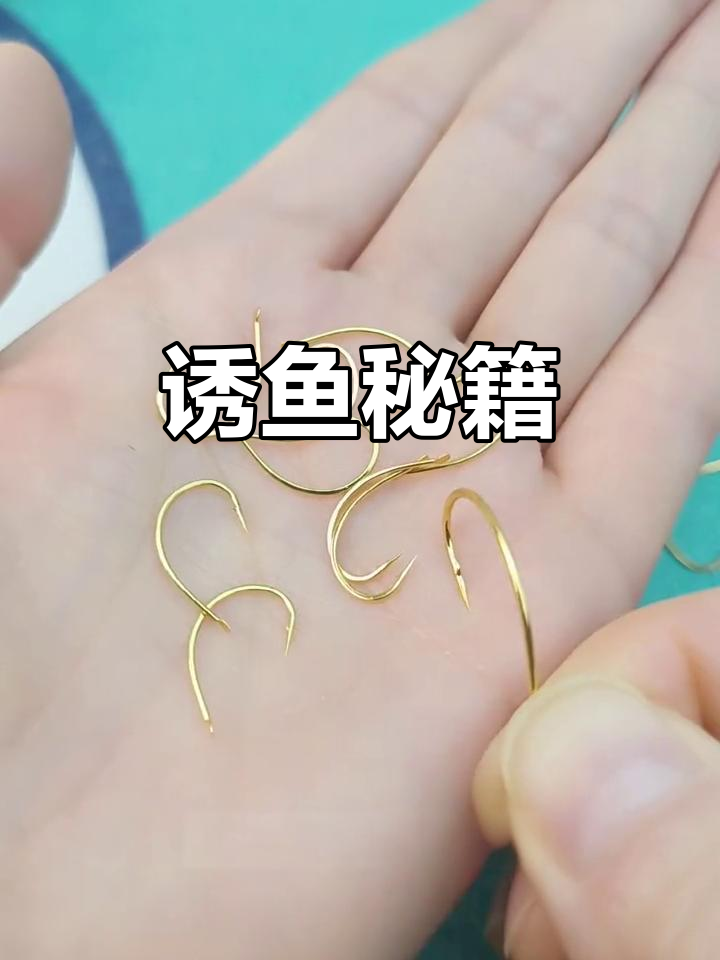 泥鳅活饵搭配细钩,轻松吸引翘嘴