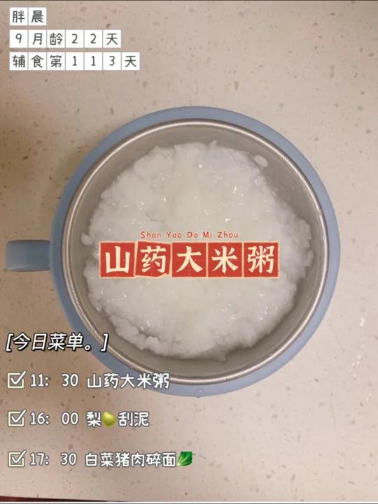9月龄辅食Day113|山药泥大米粥简单快手营养