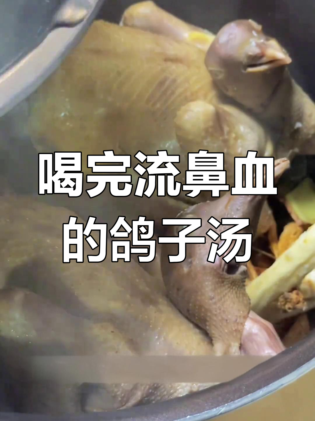 鸽子甲鱼汤炖出鼻血,味道鲜美却让人意外