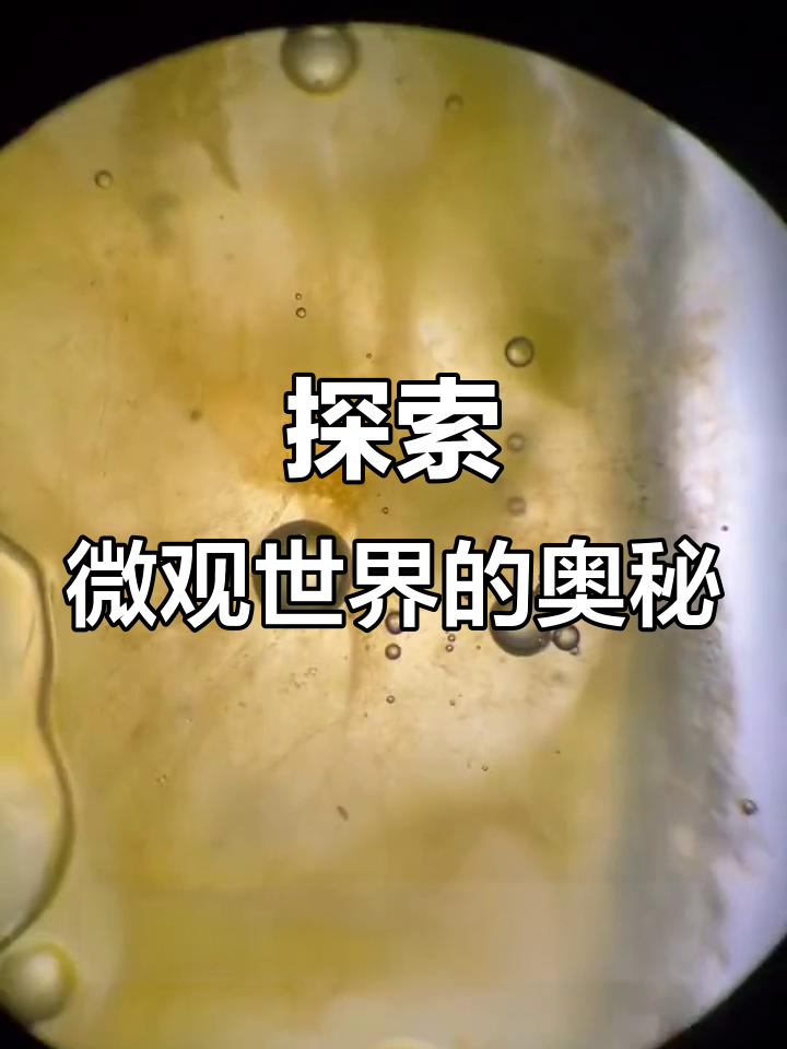 显微镜下的奇妙世界:从蚂蝗到免疫细胞的微观之旅