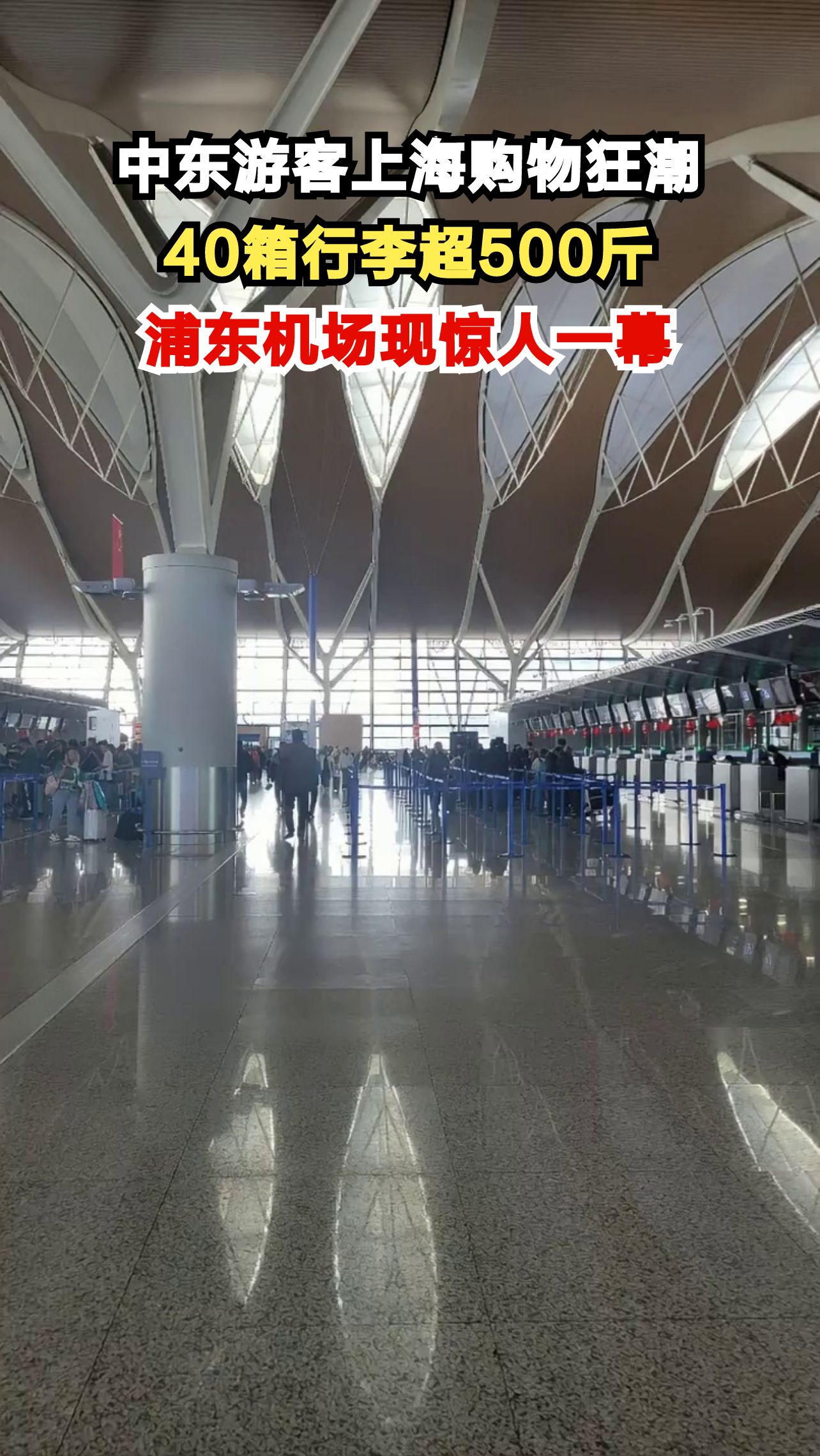 7名中东游客10天买爆上海,40个行李箱装了什么?