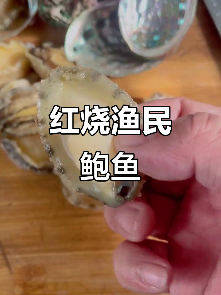 渔民版红烧鲍鱼,简单又美味,快来学做这道海鲜美食