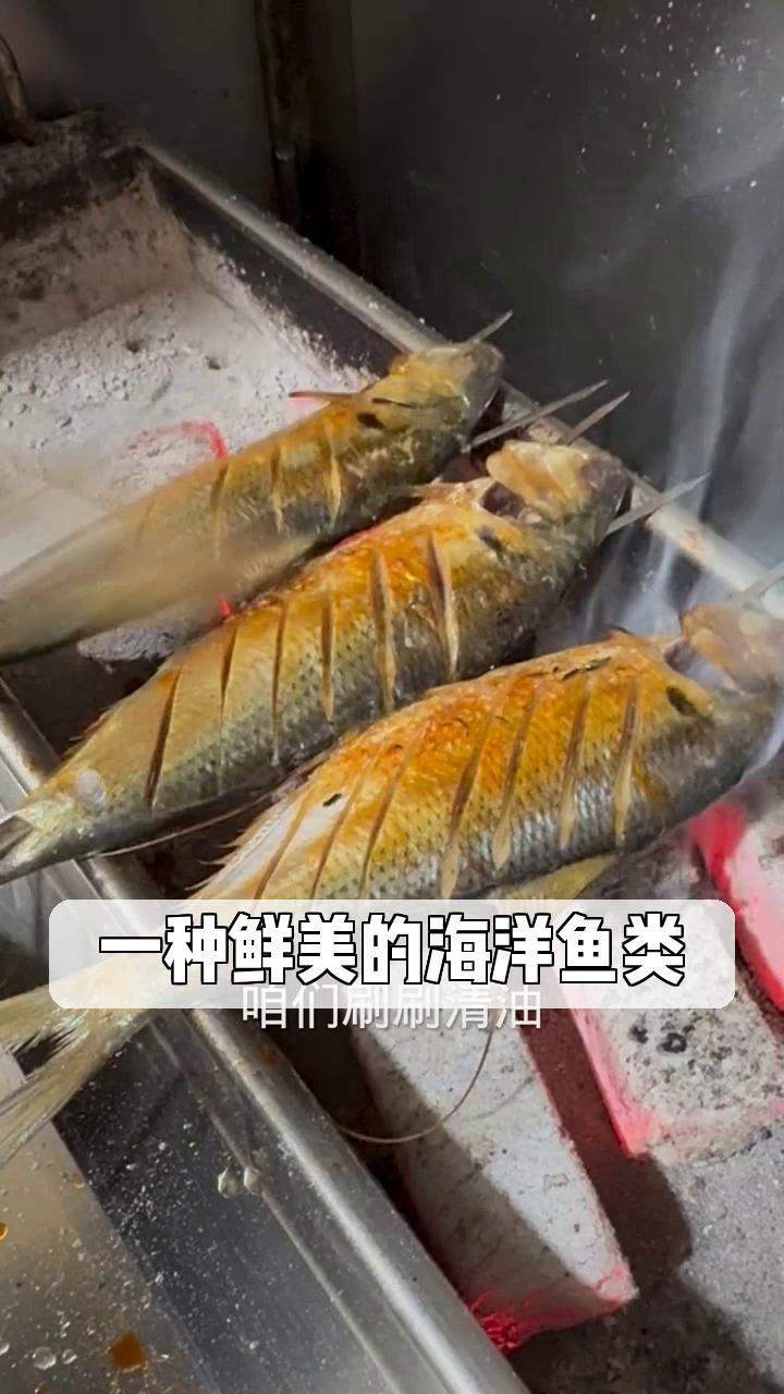一种鲜美的海洋鱼类