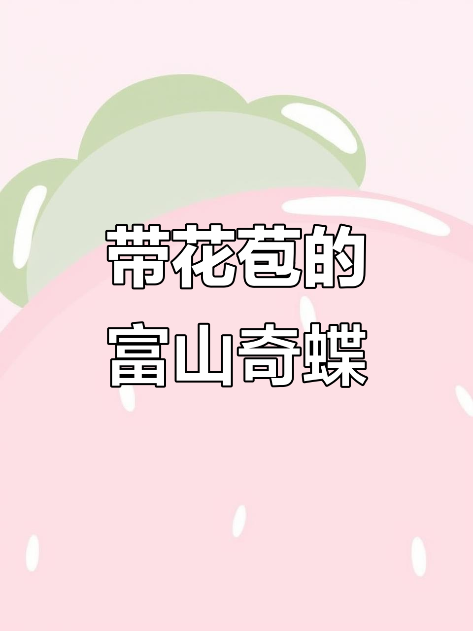 富山奇蝶兰花,带花苞的肉质根花卉推荐