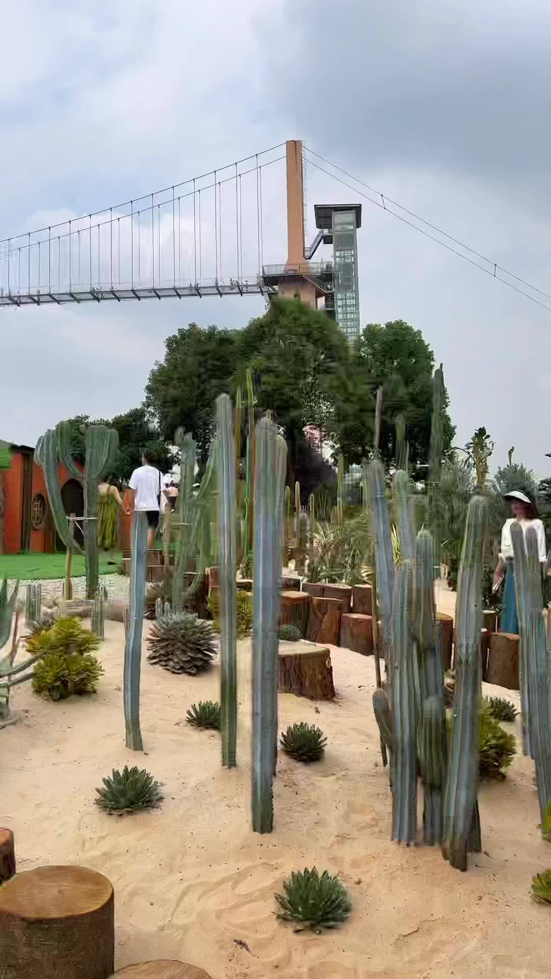 成都梦幻多肉植物园 成都梦幻多肉植物园