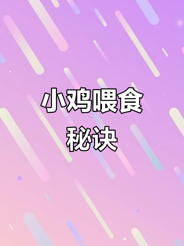 小鸡喂养有诀窍,贝壳大小要适中,避免关节问题与软壳蛋