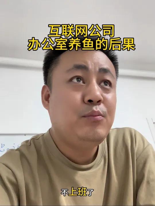 互联网公司办公室养什么鱼好?前两天怕我们的程序员枯燥,搞了几条孔雀鱼。结果今早一回来孔雀鱼