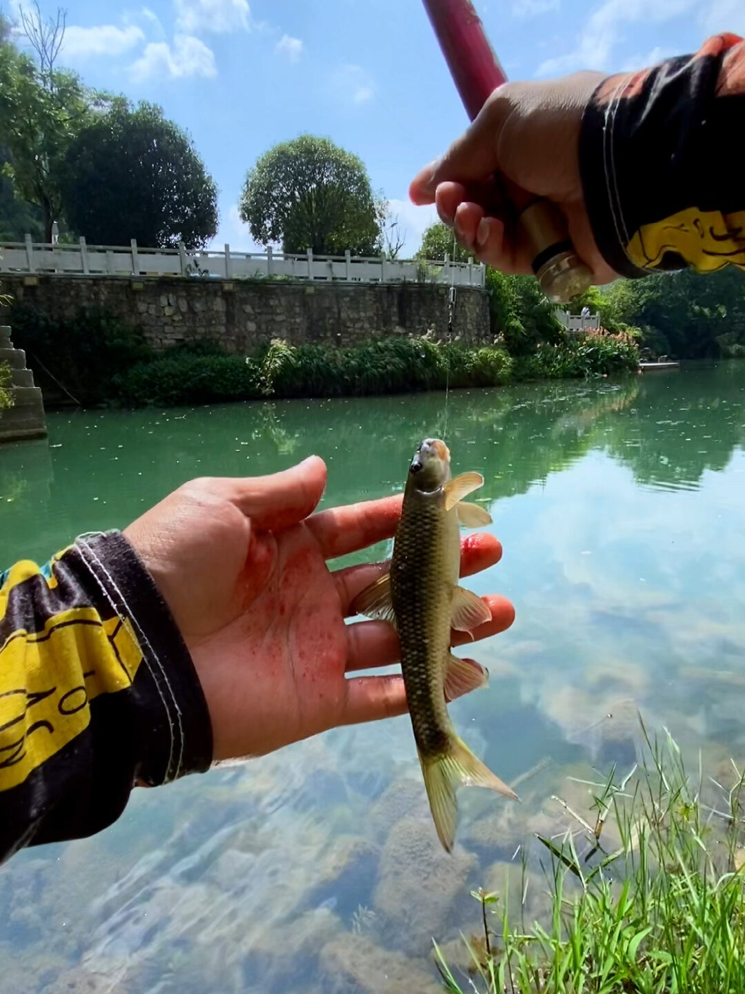 鱿鱼棒,你钓过没?