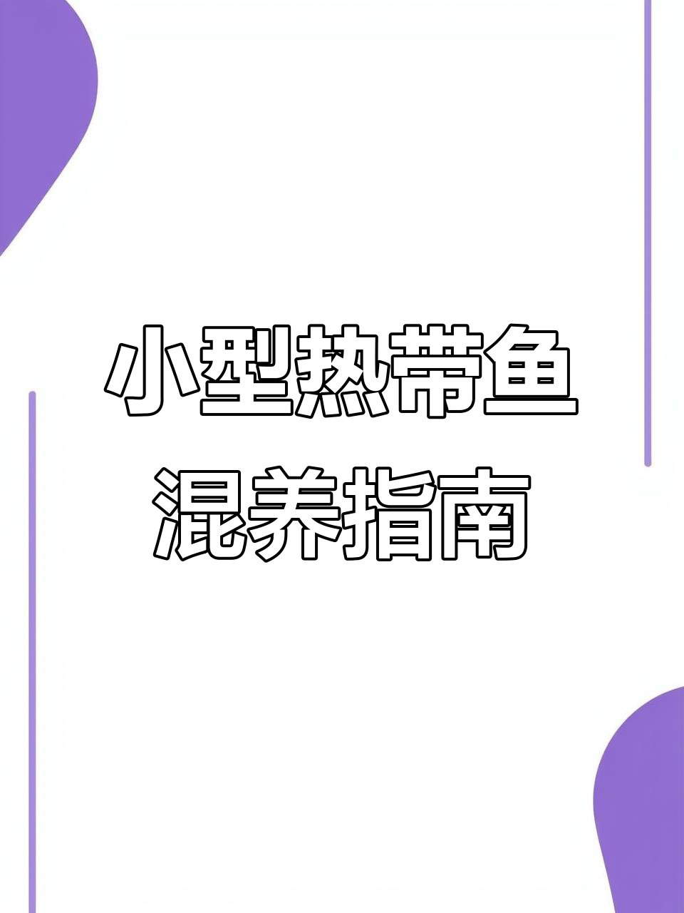 温顺热带鱼混养推荐，红绿灯、斑马鱼轻松搭配