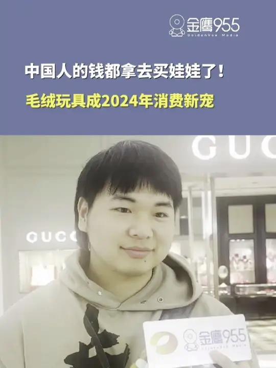 中国人的钱都拿去买娃娃了 毛绒玩具成2024年消费新宠(编辑:张晴怡)毛绒玩具 娃娃