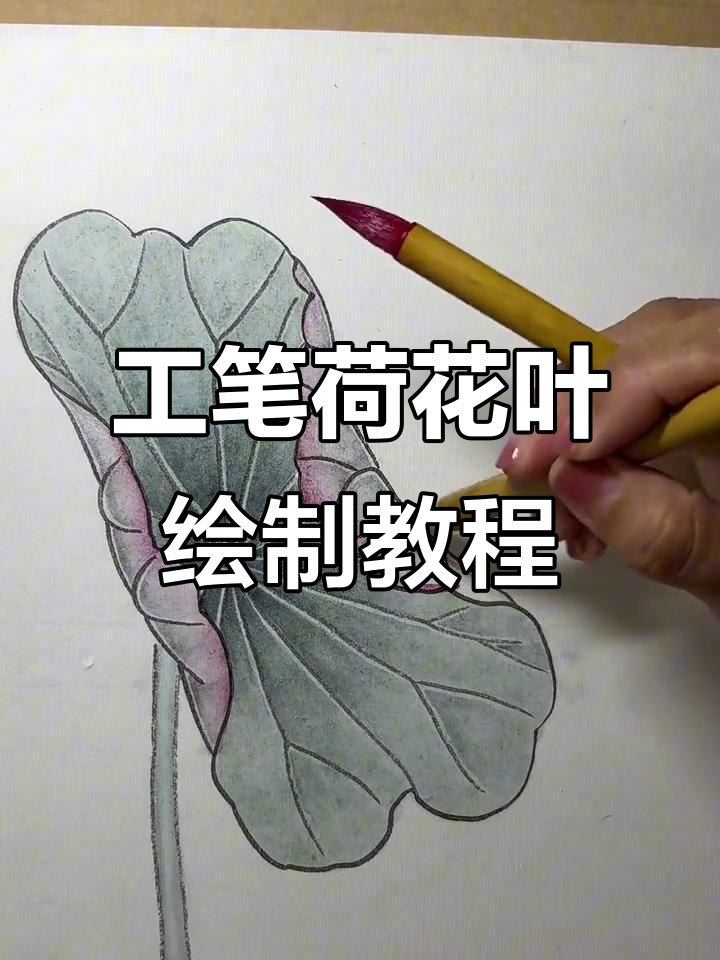 半开荷叶工笔画技巧:从平涂到喷染,打造层次感