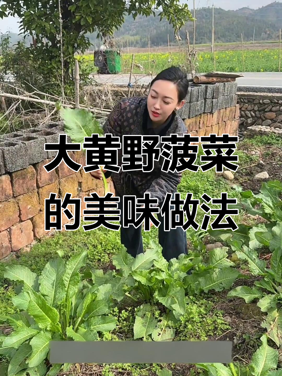 土蛋黄与野菠菜根的乡村美味,炒着吃超有味