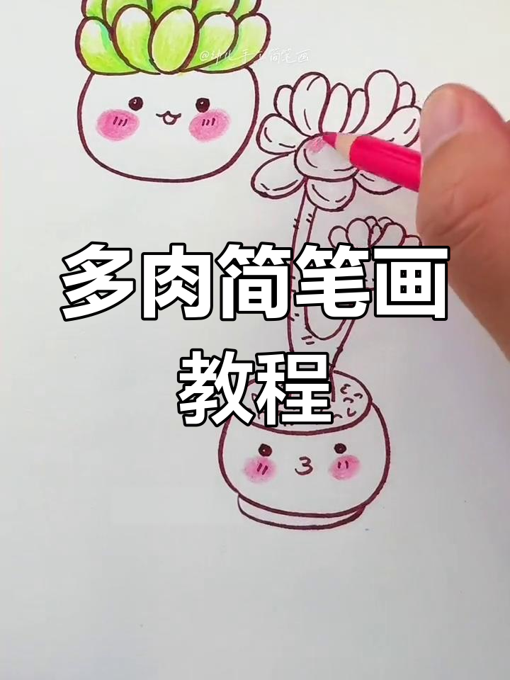 轻松学画多肉植物,阳台上的美丽风景