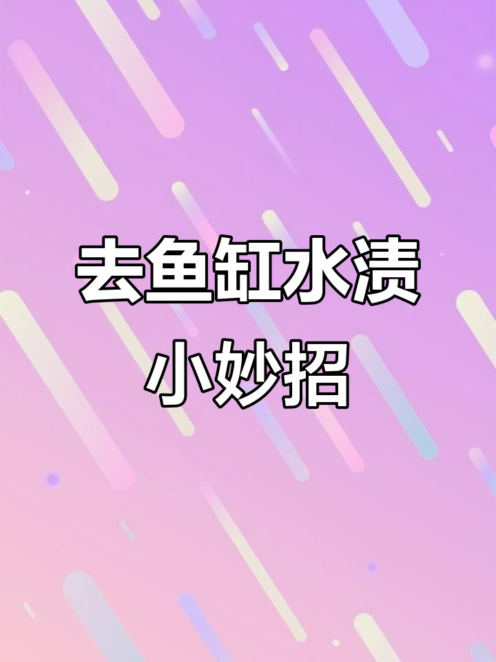 鱼缸水垢轻松去除,文玩抛光板让玻璃焕然一新
