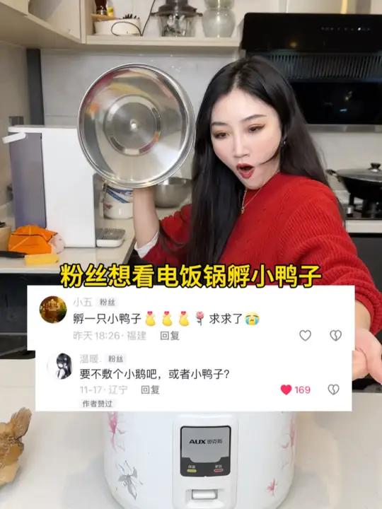 粉丝想看我用电饭锅孵小鸭子～孵蛋 人工孵化 柯尔鸭 柯尔鸭孵化 vlog日常