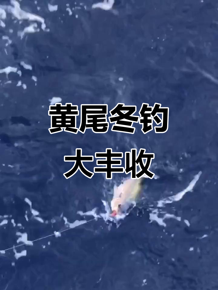 东沙群岛黄尾冬爆钓,中秋家人们有口福了!