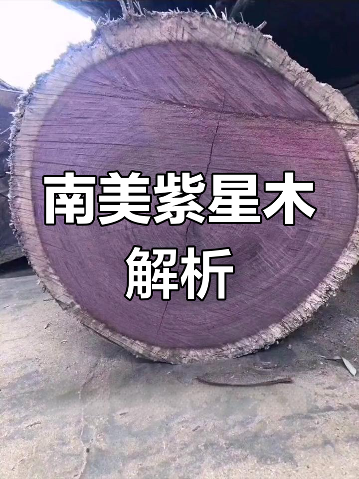 紫星木:南美热带珍稀木材,结构重型、色彩多变