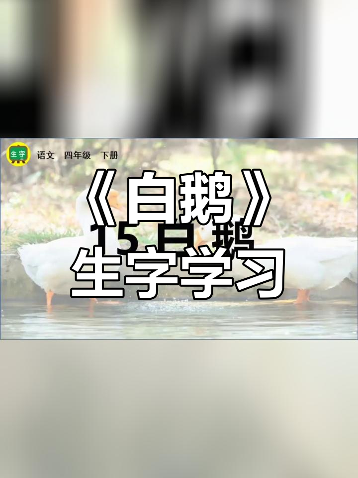 四年级下册语文《白鹅》生字解析与书写技巧